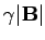 $ \gamma \vert{\mathbf B}\vert$